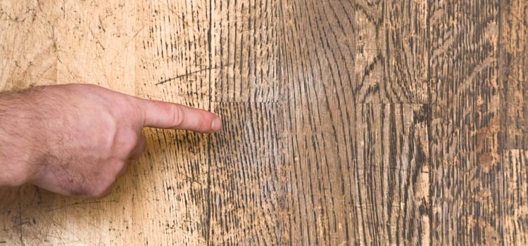 Wood Door Scratch Repair in Pasadena